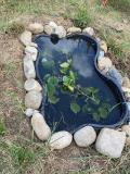 Il giardino della rete di Indra