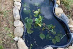 Il giardino della rete di Indra