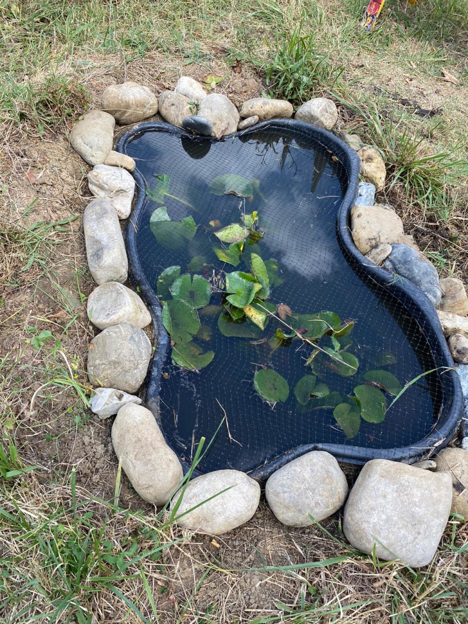 Il Giardino della Rete di Indra